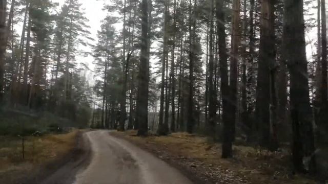КАК ПРОЕХАТЬ НА РОДНИК ЗА ВОДОЙ РАЙОН ДЕРЕВНИ ЧЕРНОСИТОВО смотреть онлайн