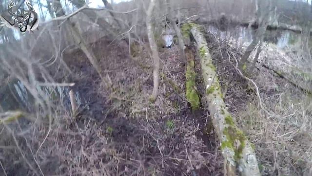 Охота #28 засидка на бобра смотреть онлайн