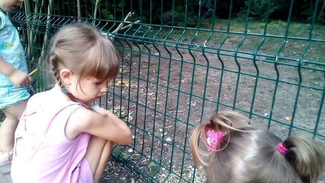 Кто-то хитрый и большой! смотреть онлайн