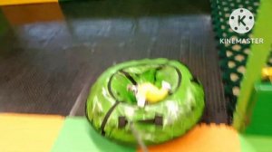 Басик в Замании???