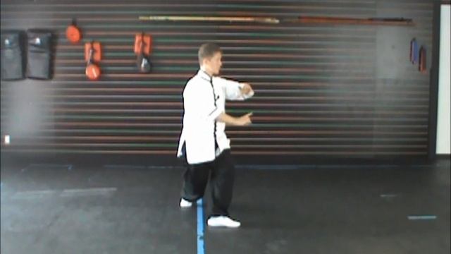 (33/93) Yang Tai Chi 108 Form: Step Up and Grasp Sparrow's Tail (Yang Shi Taijiquan) смотреть онлайн