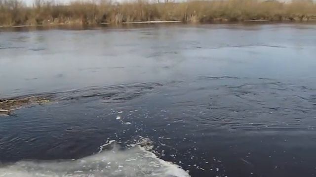 Река Припять в Пинском районе смотреть онлайн