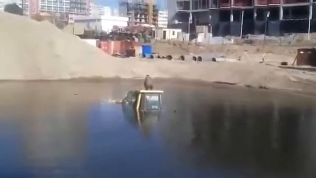 В Хабаровске бульдозер ушел на дно карьера смотреть онлайн