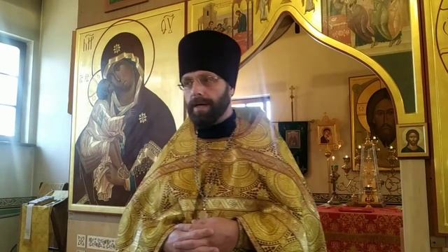 Проповедь о.Димитрия 09.07.22 Обретение мощей прп. Амвросия смотреть онлайн