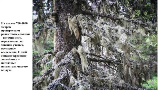Объединение "Край родной Башкортостан" | "Достопримечательности Республики Башкортостан: Иремель". смотреть онлайн