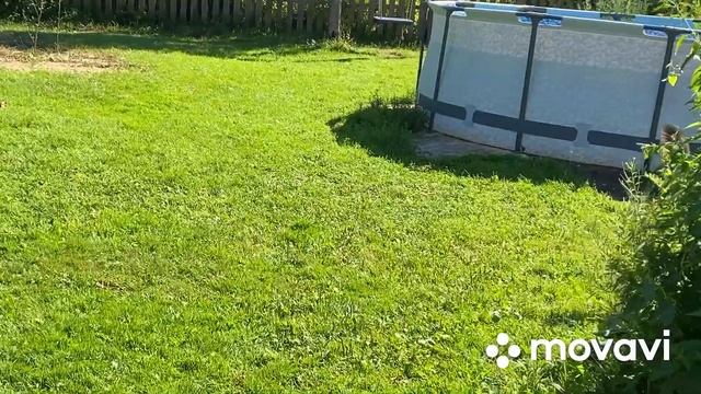 Убираем индюков Хайбрит Конвертер/Вес тушек/Это очень выгодно смотреть онлайн