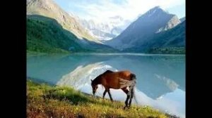 Путешествие на машине, Алтай ,чудо природы.