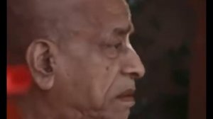 П 7 Гл 14. Идеальная семейная жизнь