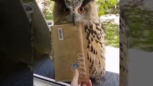 Отправляем документы почтой. Подбор и оформление Вашего отдыха с любовью и огнём в сердце. Ждём вас смотреть онлайн