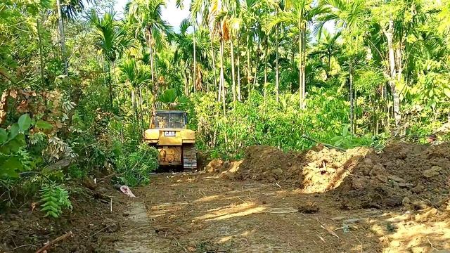 Areca Nut Tree Plantations: The Role of Bulldozers in Road Construction || Caterpillar Bulldozer смотреть онлайн