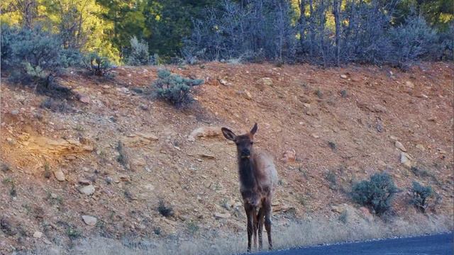 Наш прекрасный мир! смотреть онлайн