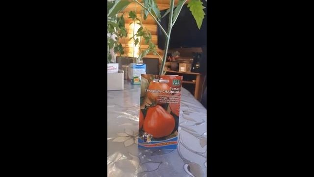 Делай То, Что Дарит Счастье