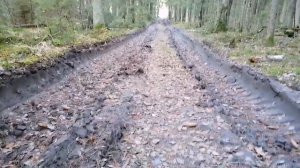 Насколько проходимый мотоблок МТЗ. | Проедет даже там где машина не сможет.