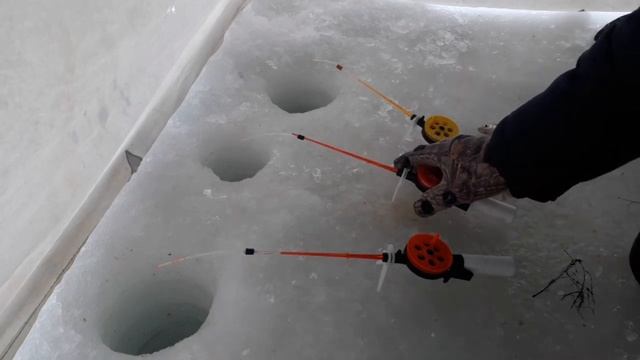 Ловим рыбу ельца с пиявками. смотреть онлайн