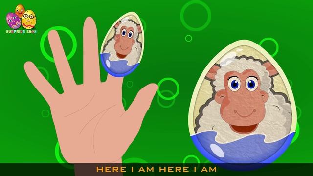 Surprise Eggs Sheep | Surprise Eggs Finger Family | Surprise Eggs Toys