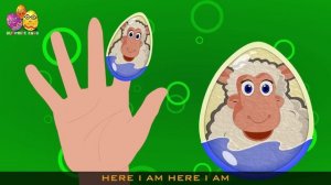 Surprise Eggs Sheep | Surprise Eggs Finger Family | Surprise Eggs Toys