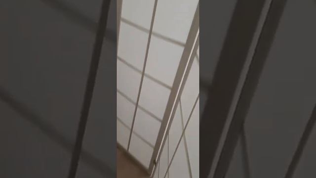 Ширма из дерева смотреть онлайн