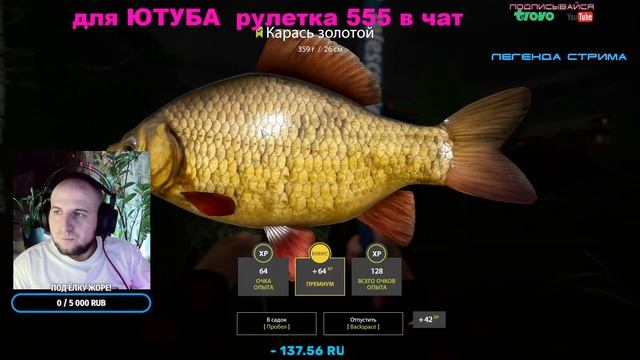 ЛОВИМ МЕШКИ!Обзор обновления.Ярмарка 2023! Русская Рыбалка4 ! смотреть онлайн