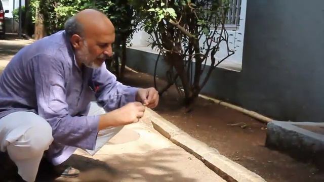 Wing Fruit Spinner | Kannada | Natural Spinner смотреть онлайн