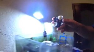 присоски перестали липнуть что делать???