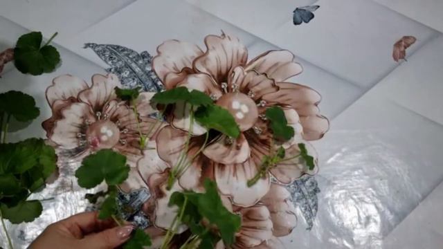 18 февраля 2022 г.один из способов черенкования пеларгонии🪴 смотреть онлайн