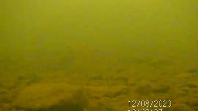 таймень, король сибирских рек