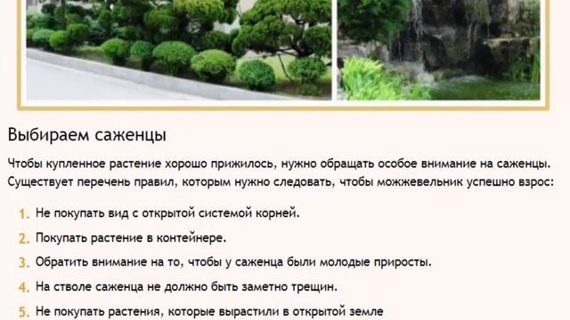 Технология посадки можжевельника на участке смотреть онлайн