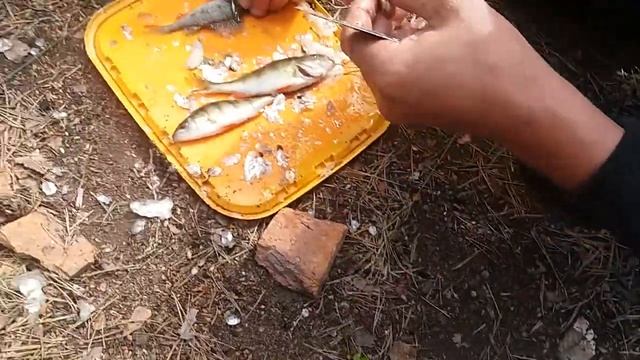 Чистим рыбу шуруповертом смотреть онлайн