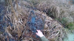 Охота на ондатру. Ловля ондатры мордами (Будни охотника и рыбака)