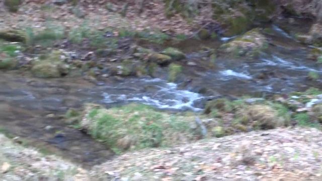 January in Blue Ridge Parkway - Water Fall - Sony DSC-WX220 - MAH00056 смотреть онлайн