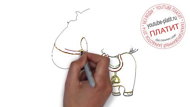 Как быстро карандашом нарисовать лошадь Как научиться рисовать лошадь смотреть онлайн