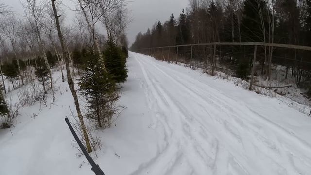 Охота #308 в саду на косулю смотреть онлайн