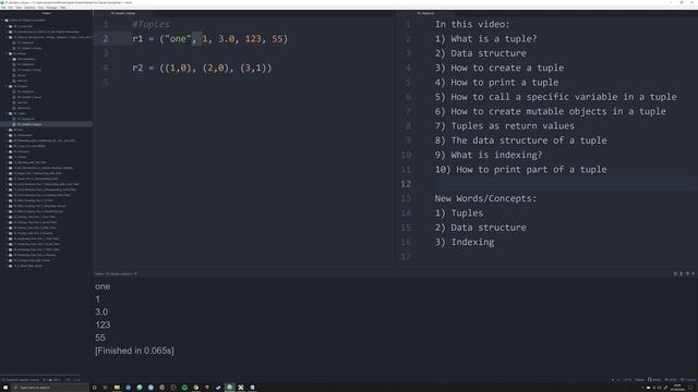 Tuples - Python for DH 05 (Revised) смотреть онлайн