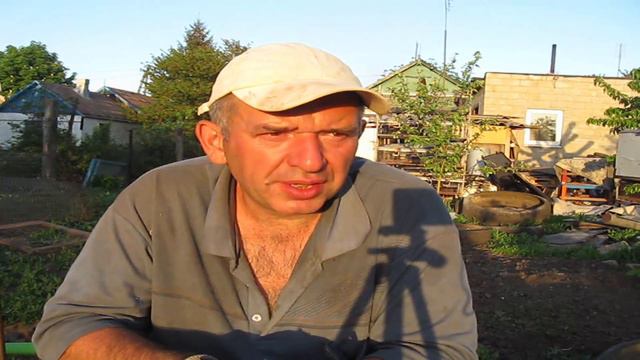 Давайте начнём диалог. Мои мысли. смотреть онлайн