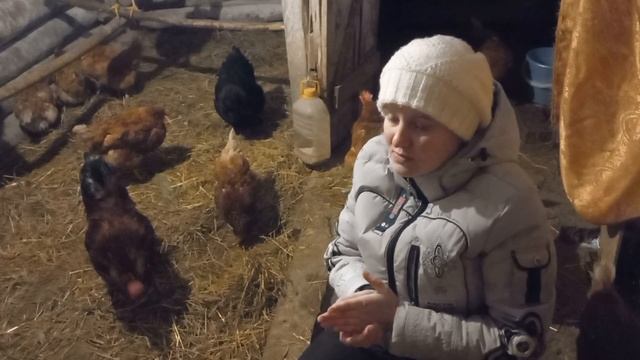 что нужно,чтоб неслись куры зимой? смотреть онлайн