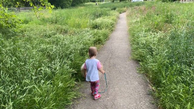 Краснодар. Май 2022. Милиса гуляет с Лютиком смотреть онлайн