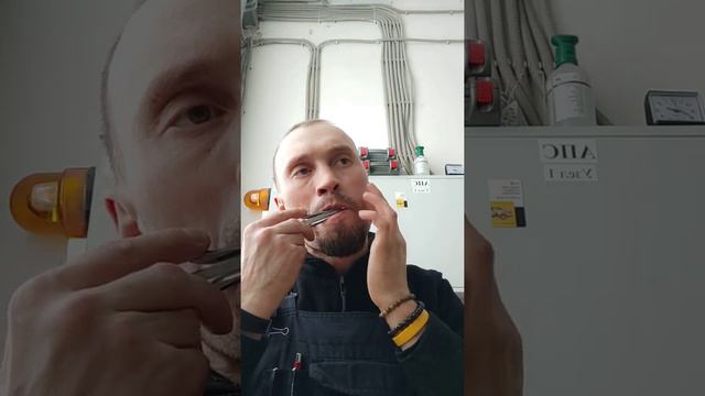 Кармический ритм по методике Булыгина на Варгане смотреть онлайн