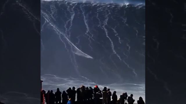 Ты волна моя морская | Автор Тютчев Ф.И. смотреть онлайн