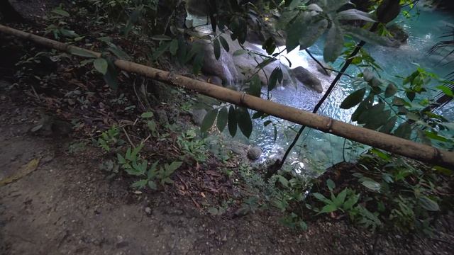 Kawasan Falls Hidden Secrets смотреть онлайн