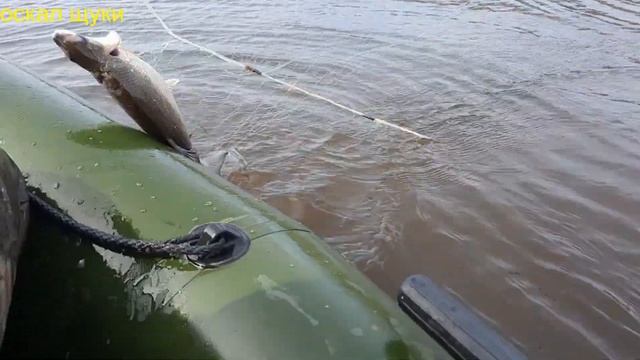 Рыбалка Проверка сетей Щука,сиг смотреть онлайн