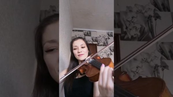Live violin