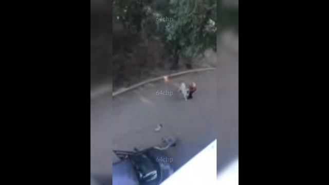 Агрессивный алабай напал на женщину в Октябрьском районе смотреть онлайн