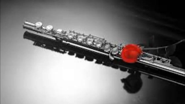 House of Memories | Panic! At the Disco - [Flute Cover] смотреть онлайн