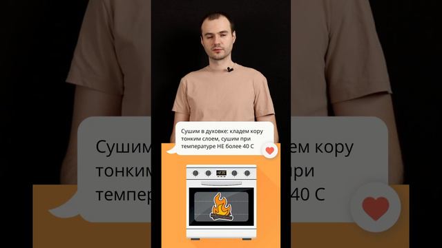 Кора Осины: как заготавливать