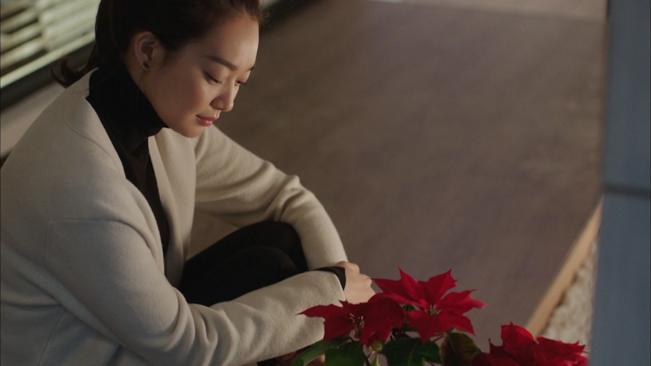 Моя Венера, 10 серия смотреть онлайн