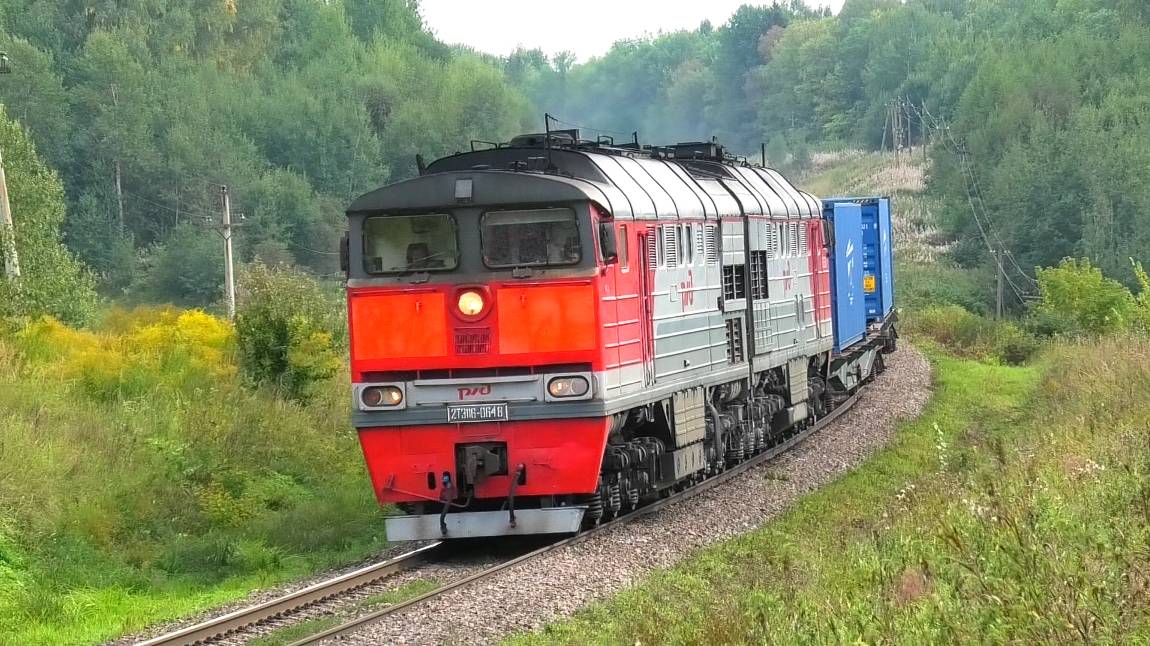 2ТЭ116-648 с контейнерным грузовым поездом