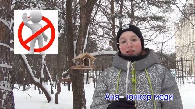 Акция Кормушка 2021 смотреть онлайн