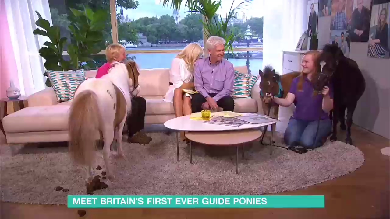 Не стоит работать с животными в прямом эфире смотреть онлайн