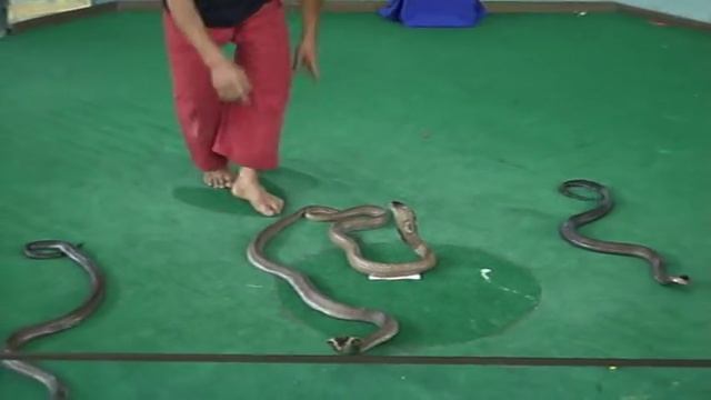 ШОКИРУЮЩАЯ АЗИЯ ТАЙЛАНД ПАТТАЯ смотреть онлайн