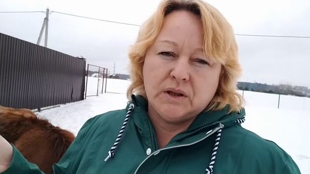 Чем кормить КОЗЛЯТ, когда нет молока у КОЗЫ? Зимние развлечения ? смотреть онлайн